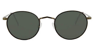 Moscot Dov S - T48
