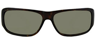 Hugo Boss BOSS 0011/S - T60