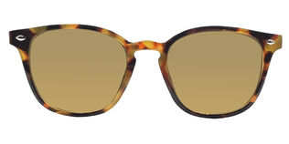 Iconic Original. IC210977 - T50