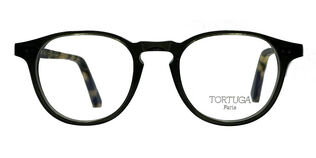 Tortuga Hoxo - T47
