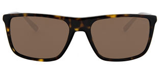 Ralph Lauren Eyewear RL8161 - T58